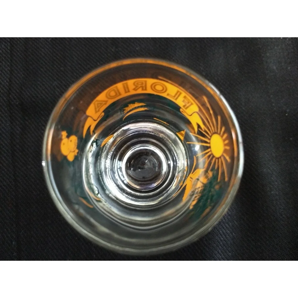 Florida Souvenir Shot Glasses Vtg Carrib Set of 4 Original Box Marlin Sunshine